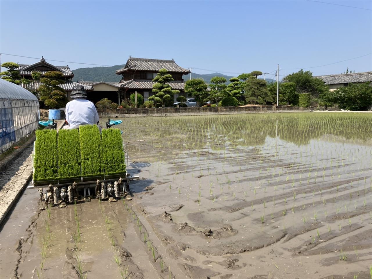 【限定公開】プライベート写真(私の元気の源)